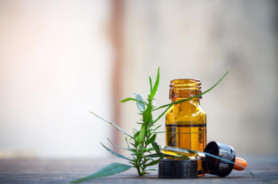 Cannabis in Cancer Palliative Care